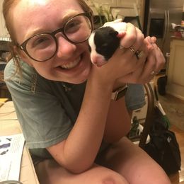 Cardigan Welsh Corgi Puppies from Liberty Valley Farm