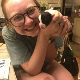 Cardigan Welsh Corgi Puppies from Liberty Valley Farm