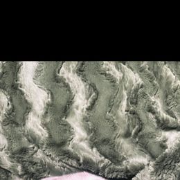 Australian Shepherd Puppies from Burdock Hill Australian Shepards