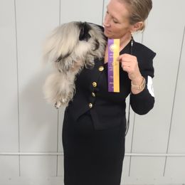 Pekingese Puppies from Tao Pekingese