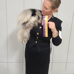 Pekingese Puppies from Tao Pekingese