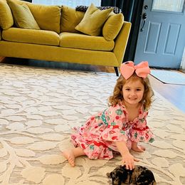 Goldendoodle Puppies from Pearl Grey Doodles