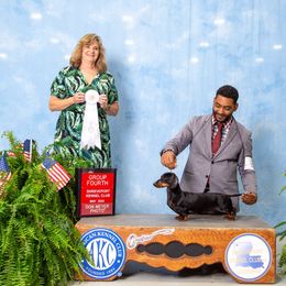 Hermione - Dachshund