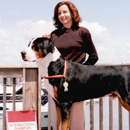 Greater Swiss Mountain Dogs from Park Place Swissys
