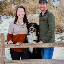 Sadie - Bernese Mountain Dog