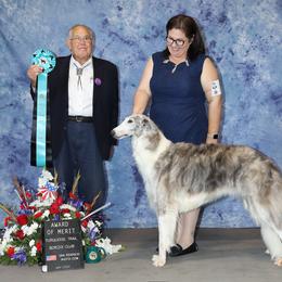 Mai Tai - Borzoi