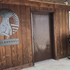 German Shepherds and Labrador Retrievers from RJS Kennels