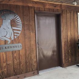 German Shepherds and Labrador Retrievers from RJS Kennels