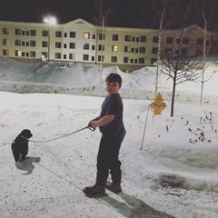 Karakachan Puppies from Karluk Acres Karakachans