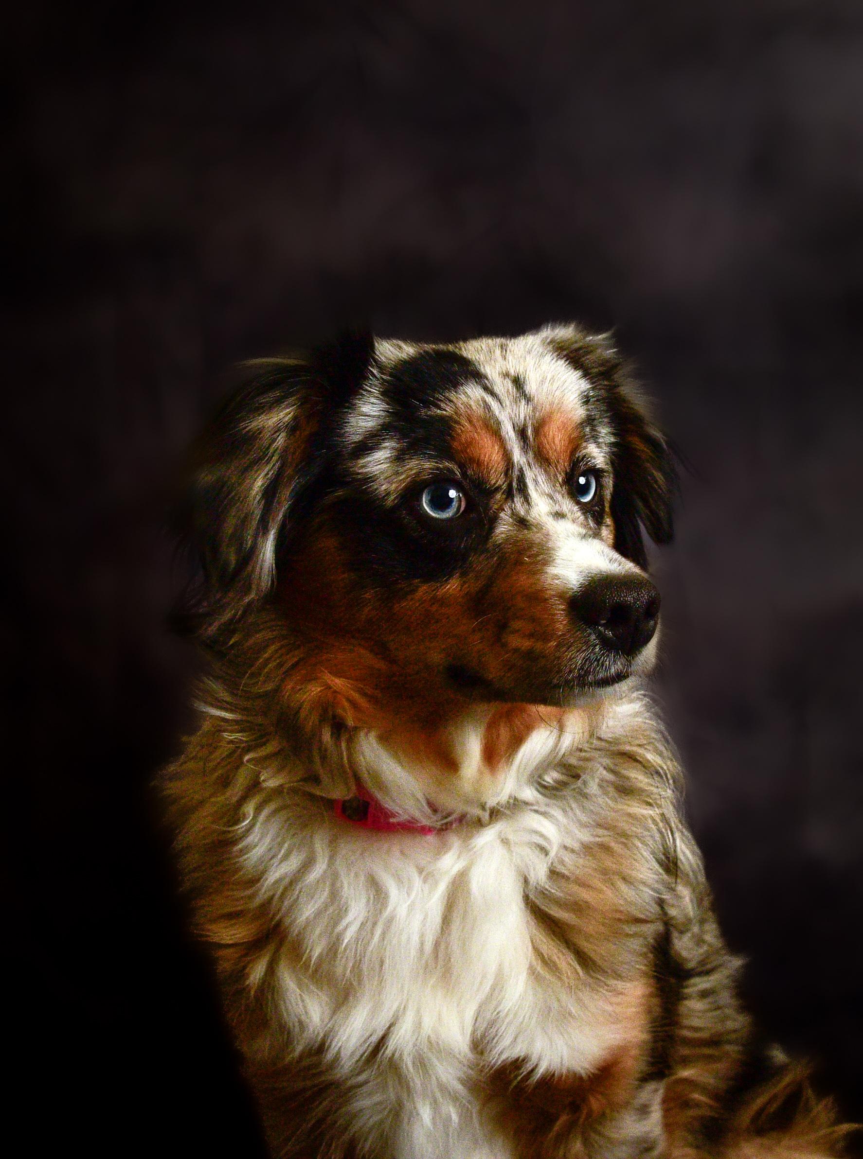 Unnamed