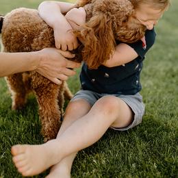 Goldendoodles from Hello Goldendoodle