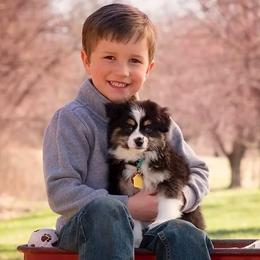 Miniature Australian Shepherd and Toy Australian Shepherd Puppies from Aussie What You Did There