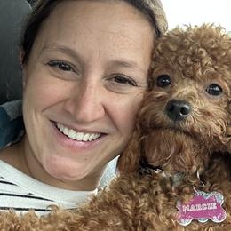 Goldendoodles from Krista Taylor