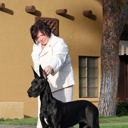 Great Dane Puppies from Dunn Right Ranch