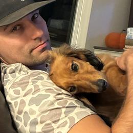 Dachshunds from Sweet Heavenly Dachshunds