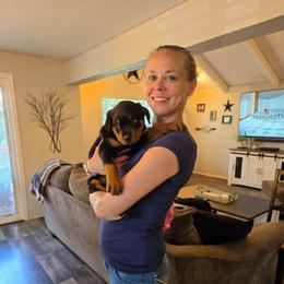 Hot Pink Girl - Black and mahogany female Rottweiler puppy in Lebanon, Oregon from SOUTH SANTIAM ROTTWEILERS