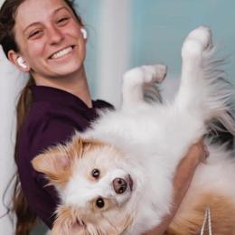 Border Collies from Bellamour Border Collies