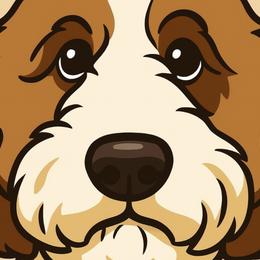 Goldendoodles from Kutedoodle