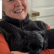 Simone Biles - Black Barbet puppy in New Bedford, Massachusetts from Barbie's Barbets