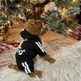 Bernedoodle and Cavapoo Puppies from Sugar Doodles Pups