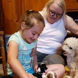 Havanese Puppies from Gingerbred Havanese