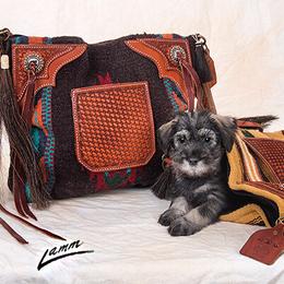 Standard Schnauzer Puppies from Goldwynn Standard Schnauzers