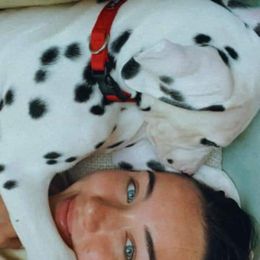 Dalmatian Puppies from Sublime Dalmatians