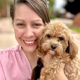 Koda - Cavapoo