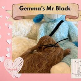 Boy 1 - male Poodle puppy in Ocean Springs, Mississippi from Forever Summer Standard Poodles