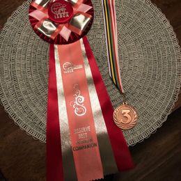 Pembroke Welsh Corgi Puppies from Outlands Corgis