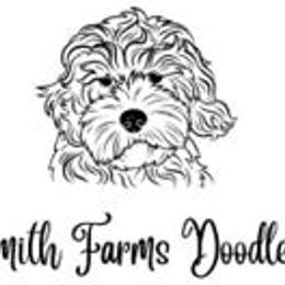 Goldendoodles from Smith Farms Doodles