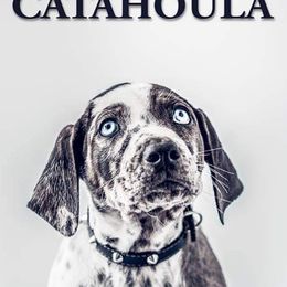 Catahoula Leopard Dogs from Hungry Valley Catahoulas