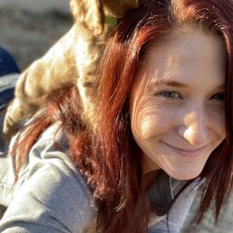 Cavalier King Charles Spaniel Puppies from Colorful Cavaliers