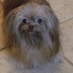 Mi-Ki All Grown Up from Jubilee Mi-Ki's