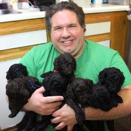 Poodle Puppies from Piccolo's Poodles