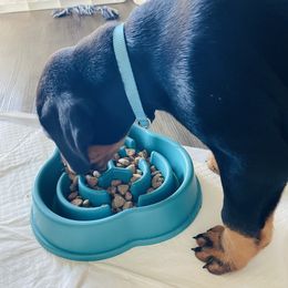 Doberman Pinscher Puppies from TeatreeDoberman