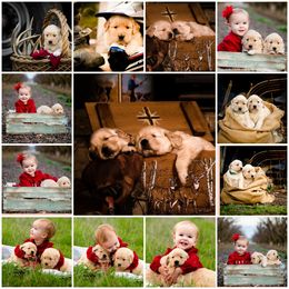 English Springer Spaniel and Golden Retriever Puppies from Promise Kennels