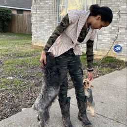 Ghost - Yorkshire Terrier