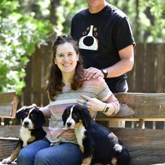 Greater Swiss Mountain Dogs from RODEO