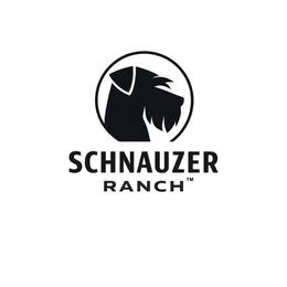 Boy 1 - Pepper and salt male Giant Schnauzer puppy in St George, Utah from Schnauzer Ranch
