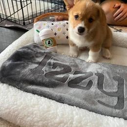 Pembroke Welsh Corgi Puppies from South Texas Blue Collar Corgis