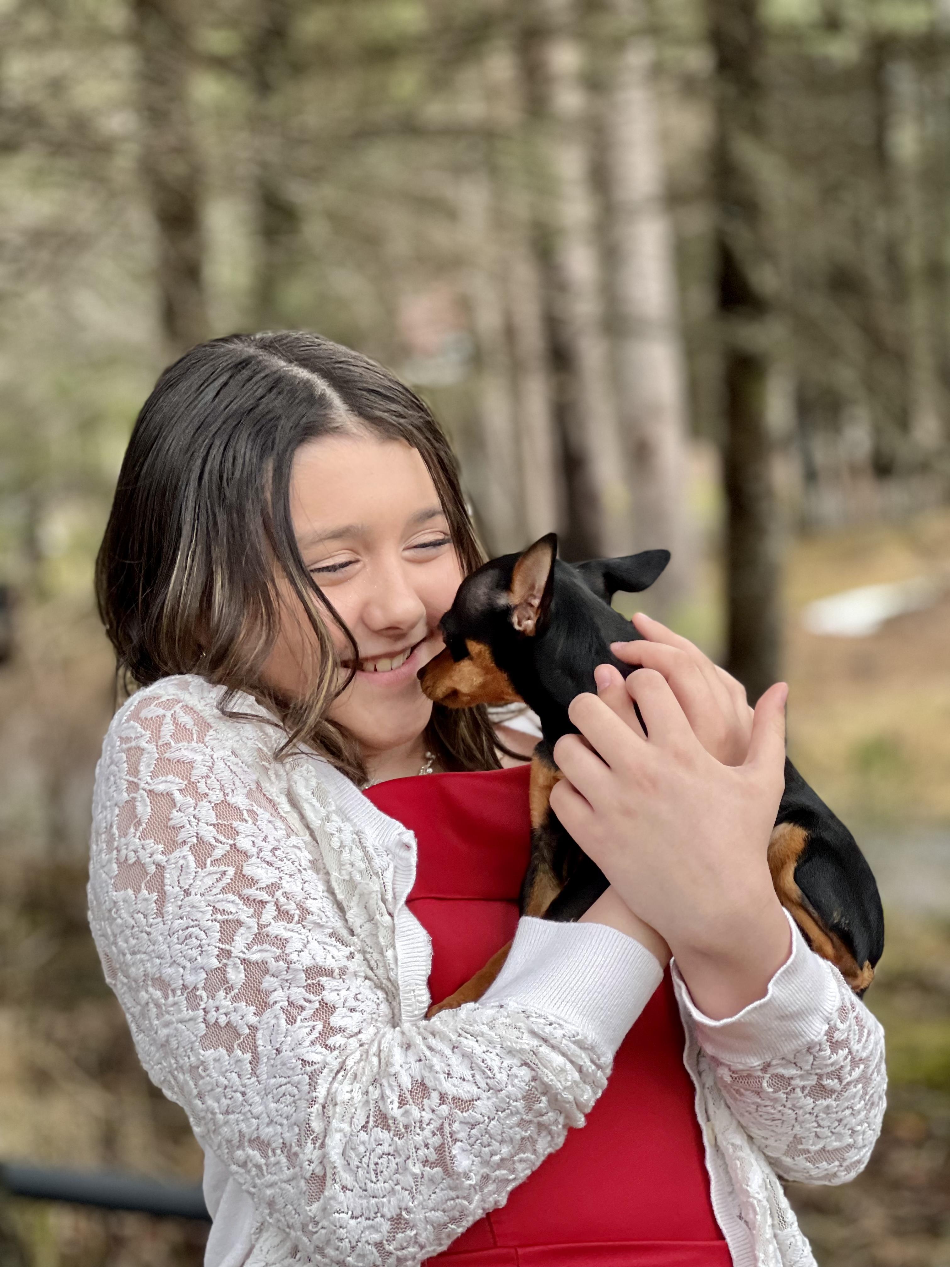 North Star Gem’s Prague Ratters in Alaska | Prague Ratter puppies ...