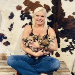 Australian Shepherd and Morkie Puppies from Larson’s Legacy Aussome Aussie Kennels
