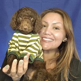 Goldendoodle Puppies from Gallimore Doodles