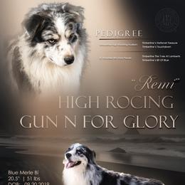 Remi - Blue merle male Australian Shepherd puppy in Placerville, California from BFF Aussies