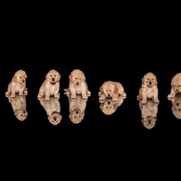 Golden Retriever Puppies from Golden Hour Golden Retrievers