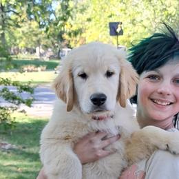 Boy 4 - Light golden Golden Retriever puppy in Belton, Missouri from Dharma's Way Golden Retrievers