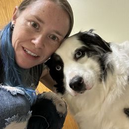 Pisces - Miniature Australian Shepherd