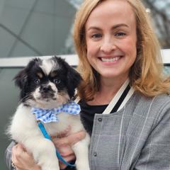 Pinto Bean - Black and tan male Tibetan Spaniel puppy in Vancouver, Washington from Trillium Tibetan Spaniels