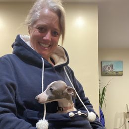 Spirit - Pink collar - White and blue fawn female Italian Greyhound puppy in Portland, Oregon from Khani's Basenjis and Italian Greyhounds